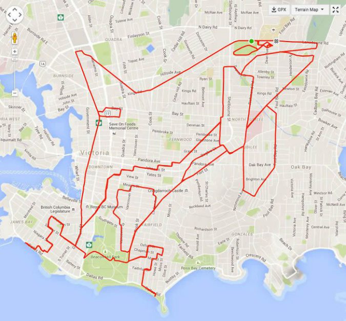 strava stephen lung cycliste art