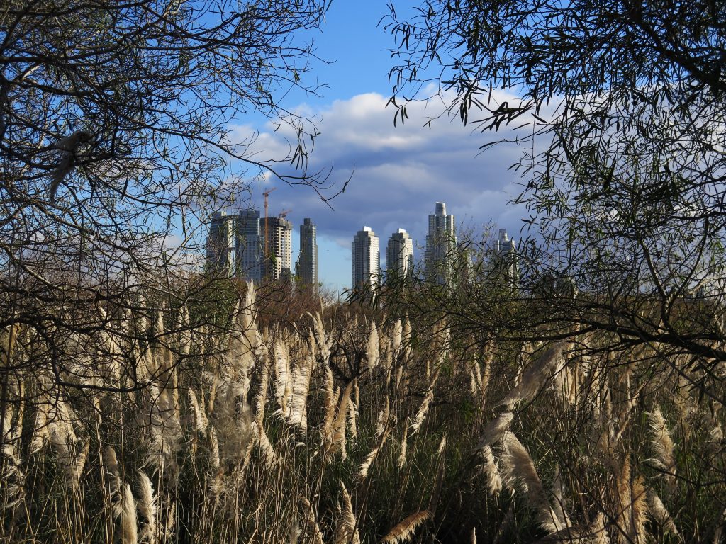 Buenos Aires