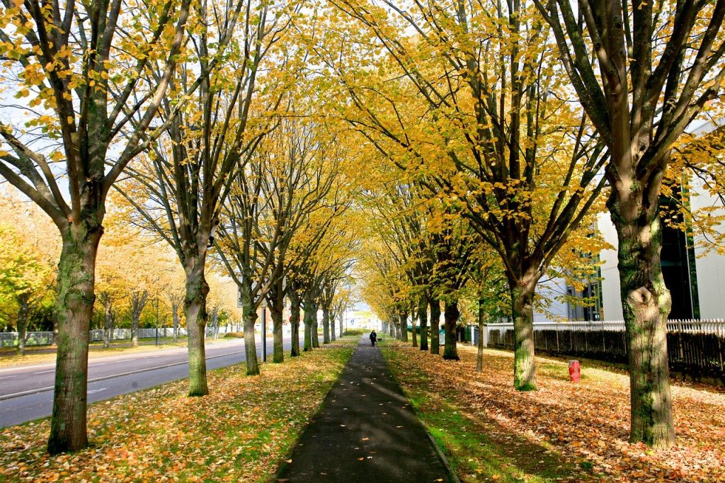 Toulouse nature
