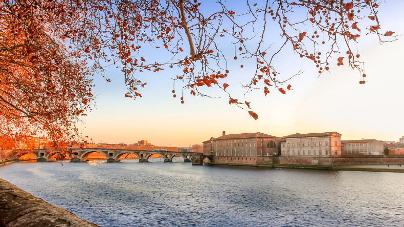 algues toulouse