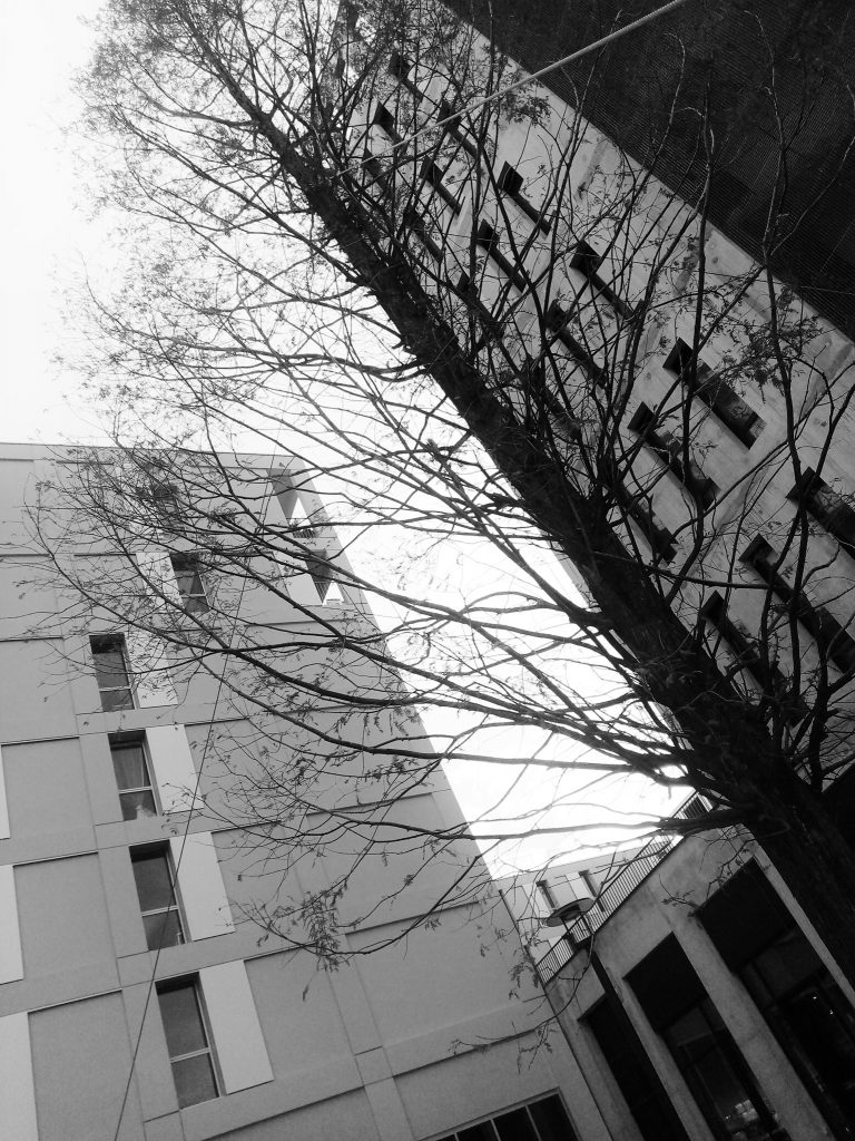 ateliers d'écriture Nantes