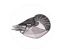 Teuthis