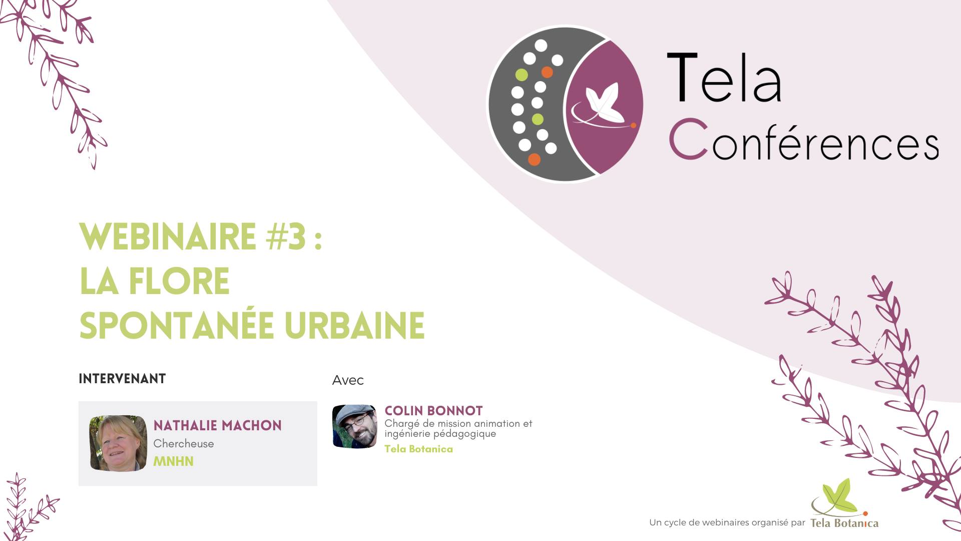 Tela Botanica - Webinaire Herbes folles