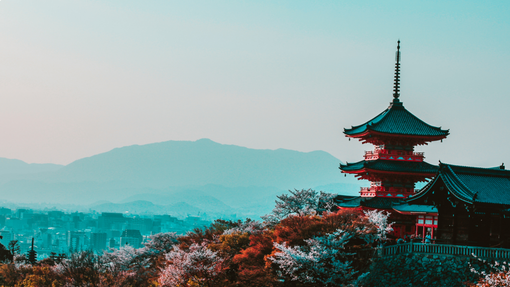 ©️Pexels